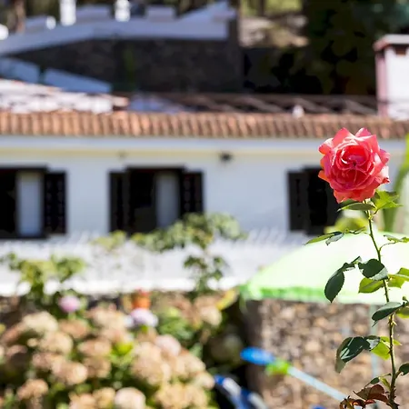 Alpesi faház Home2book Icod Rural Escape Pool Bbq El Amparo