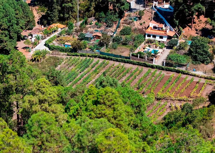 Domek alpejski Home2book Icod Rural Escape Pool Bbq