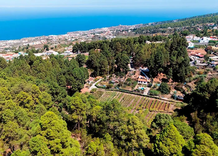 Home2book Icod Rural Escape Pool Bbq Domek alpejski