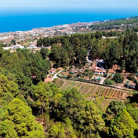 Home2book Icod Rural Escape Pool Bbq בקתה