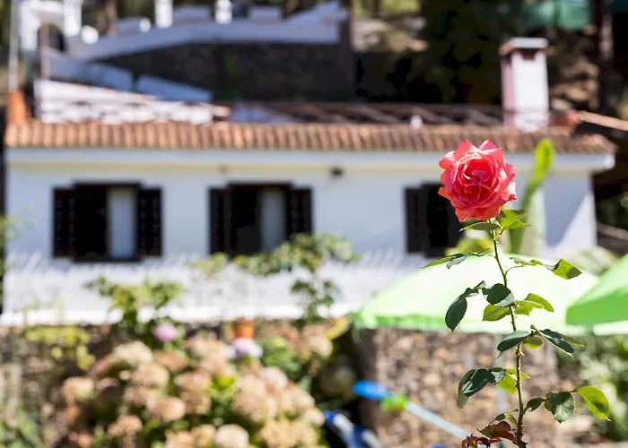 Chalet Home2book Icod Rural Escape Pool Bbq El Amparo